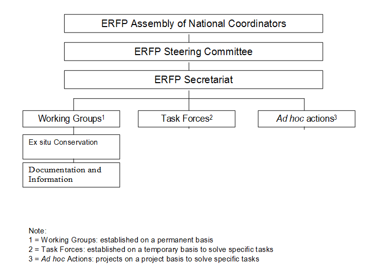 ERFP_organisation