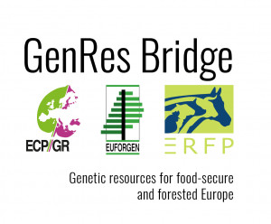 GenRes Bridge logo