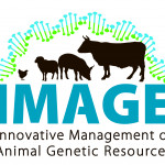 IMAGE - logo