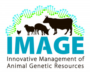 IMAGE - logo